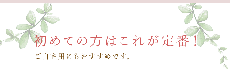 初めての方はこれが定番